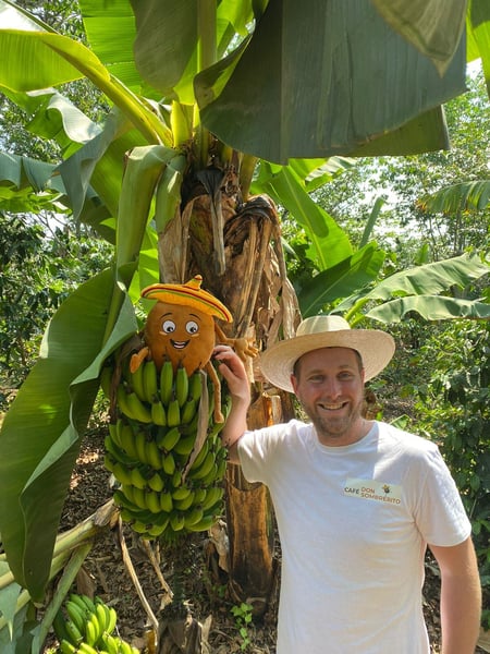 WhatsApp Image 2024-10-02 at 14.59.19 WhatsApp Image 2024-10-02 at 14.59.19