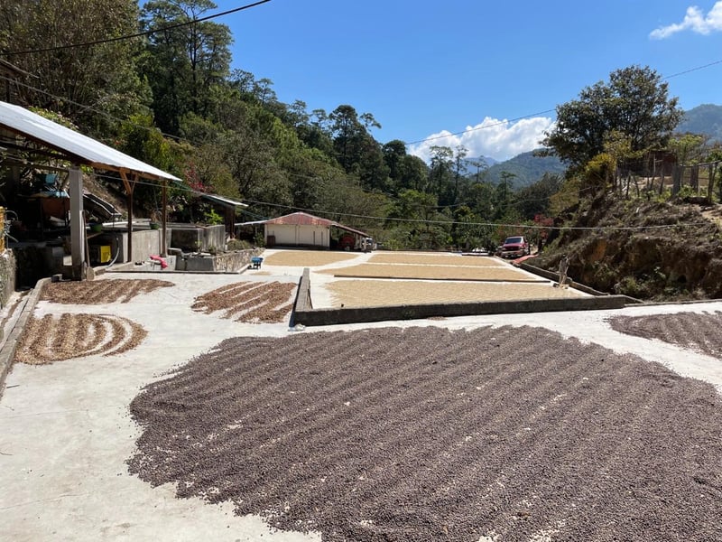 WhatsApp Image 2024-10-02 at 17.00.56 WhatsApp Image 2024-10-02 at 17.00.56